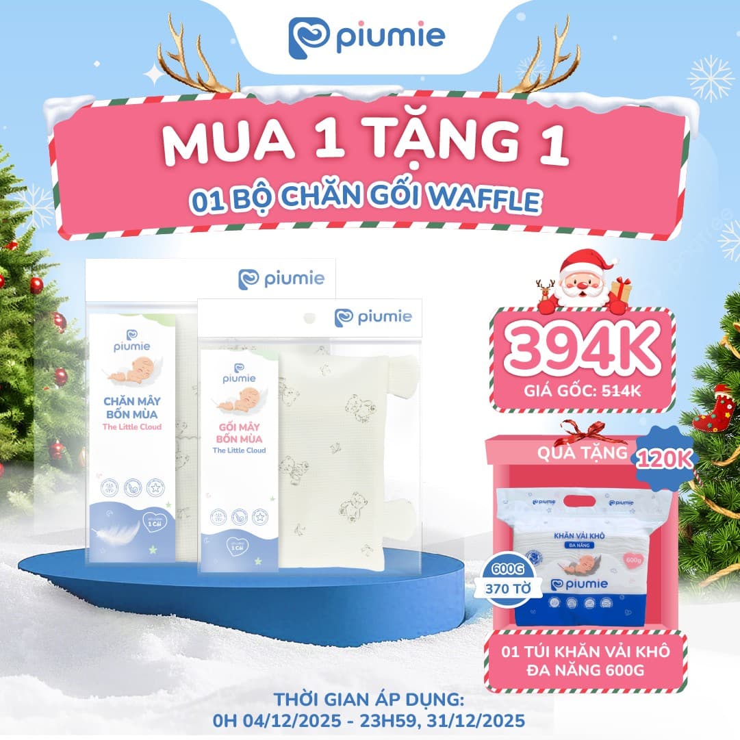 Combo chăn gối chăn mây bốn mùa Waffle Cotton