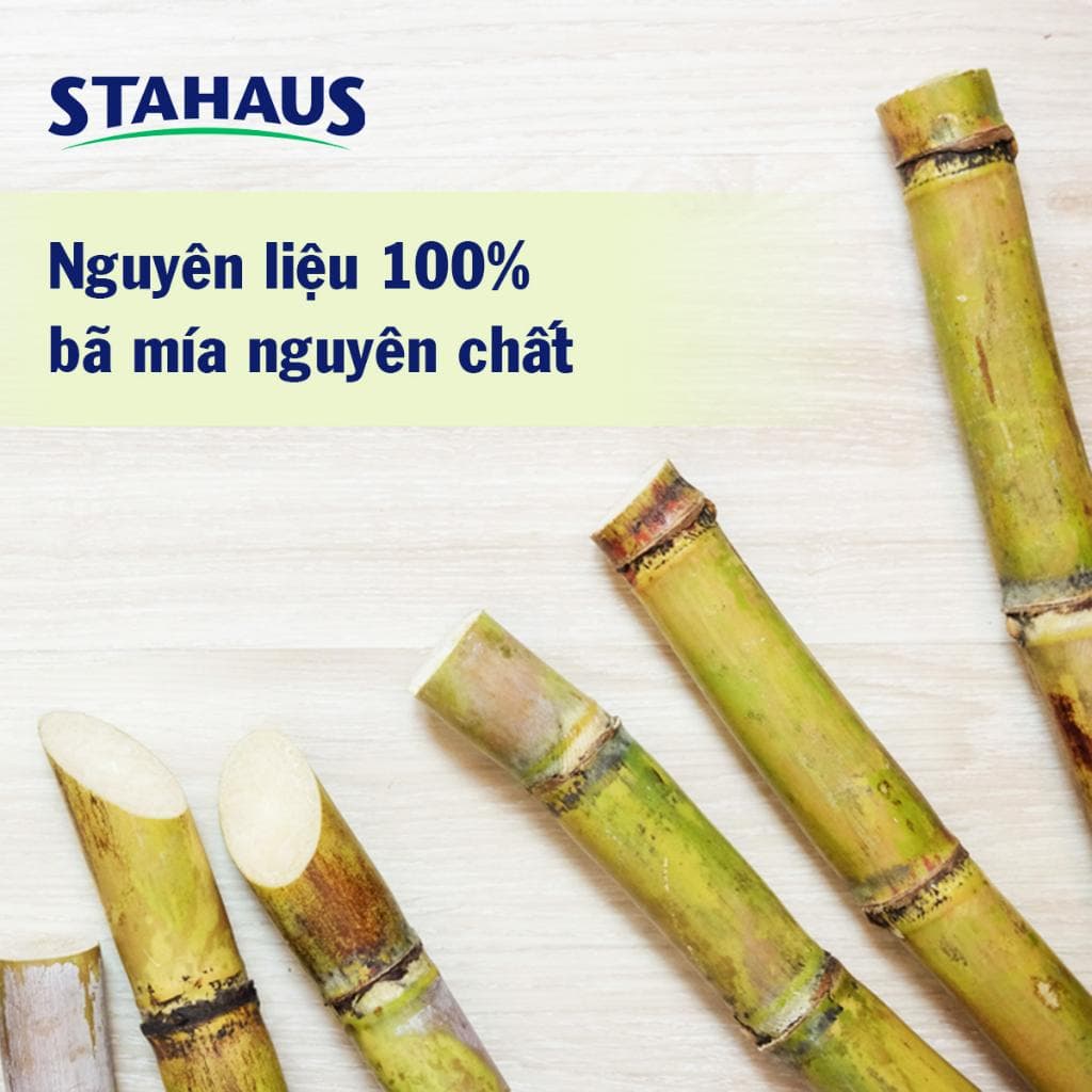 Đĩa bã mía tròn Stahaus 225mm (10 cái/gói) sạch sẽ, tiện lợi khi sử dụng 6